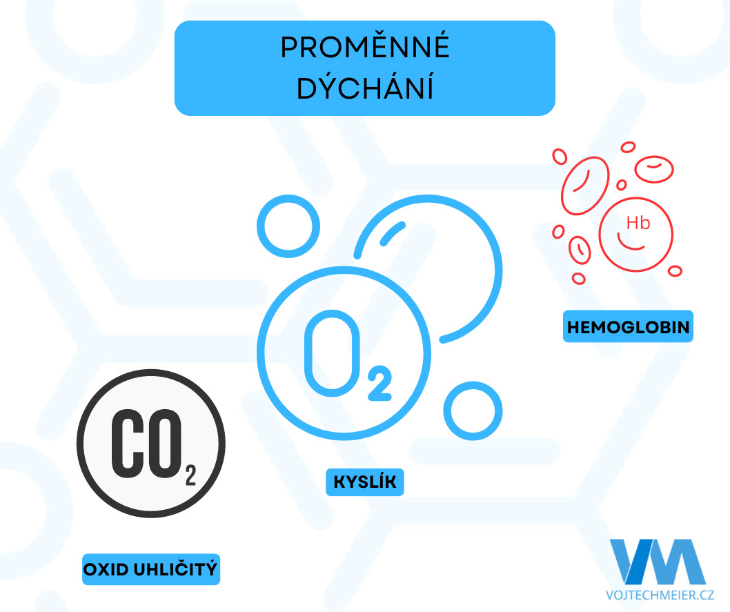 D�le�it� prom�nn� b�hem d�ch�n�