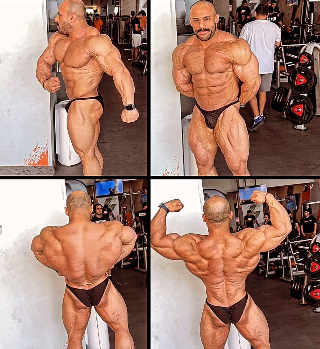 Nasser Sayed