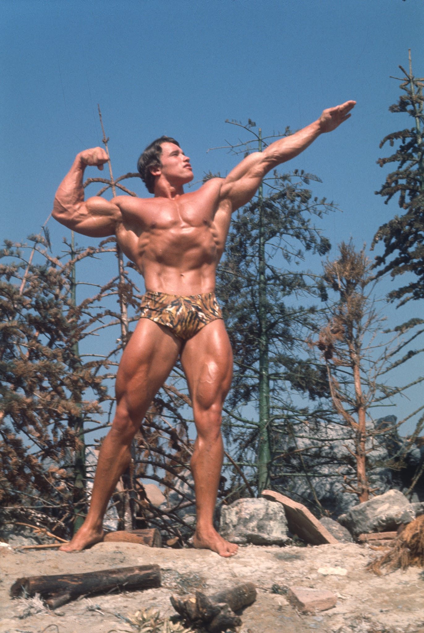 Arnold Schwarzenegger