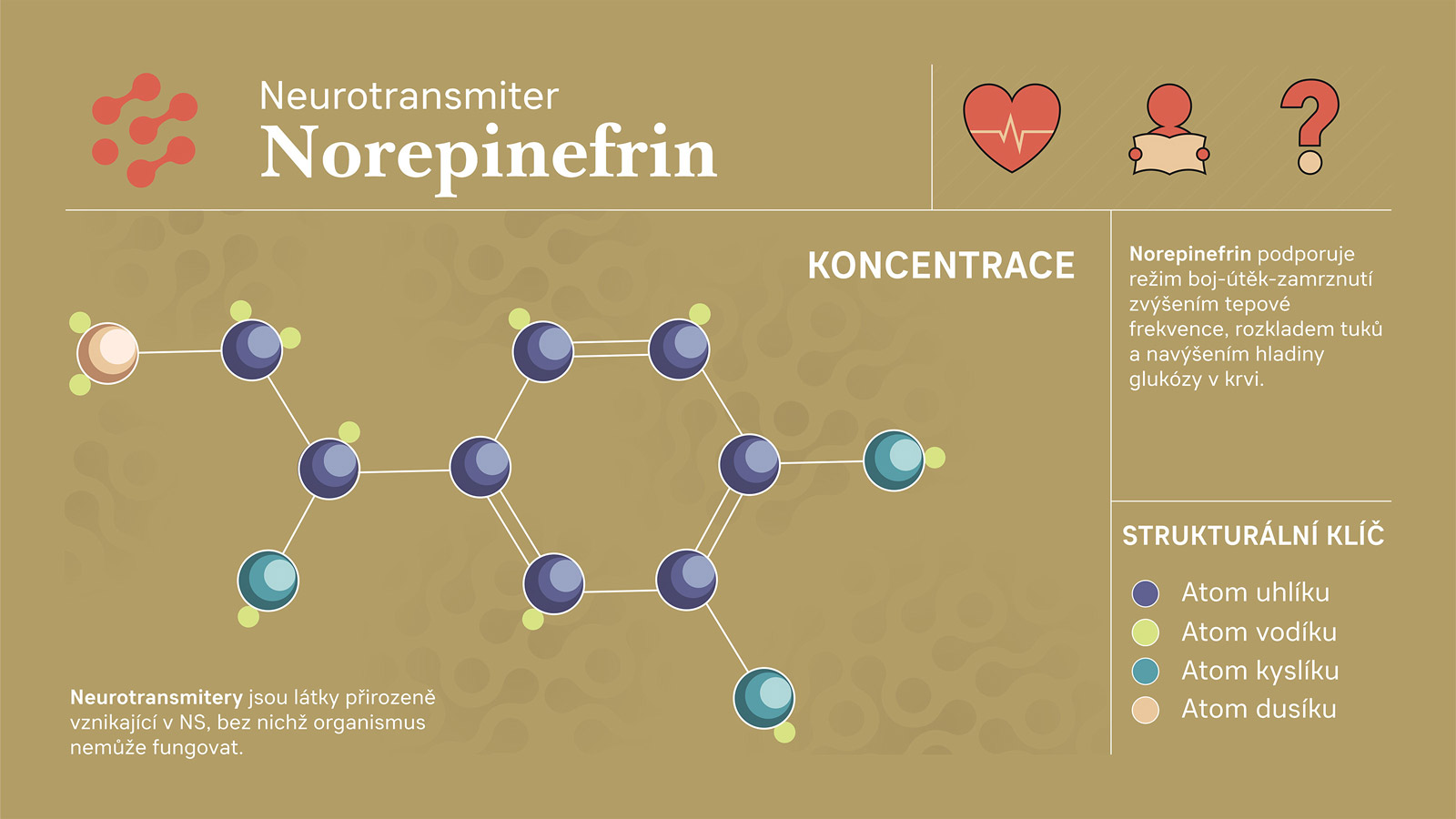 Souhrnn� informace o norepinefrinu