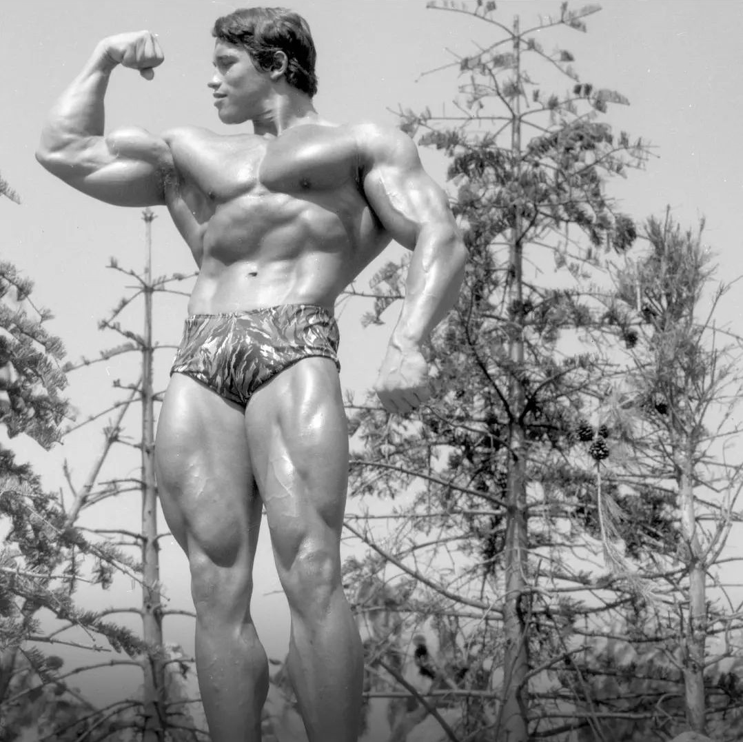 Arnold Schwarzenegger