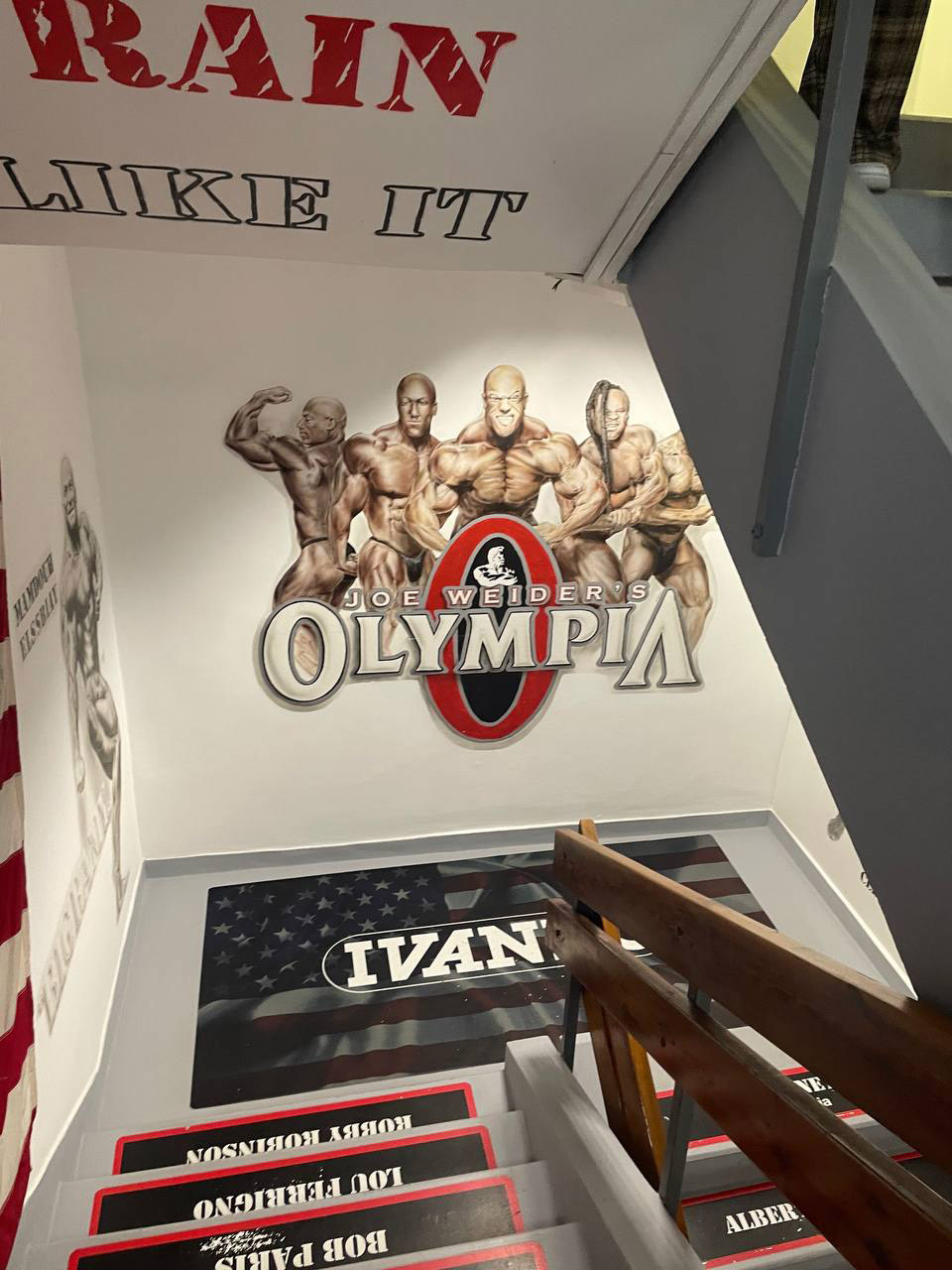 Flex Gym