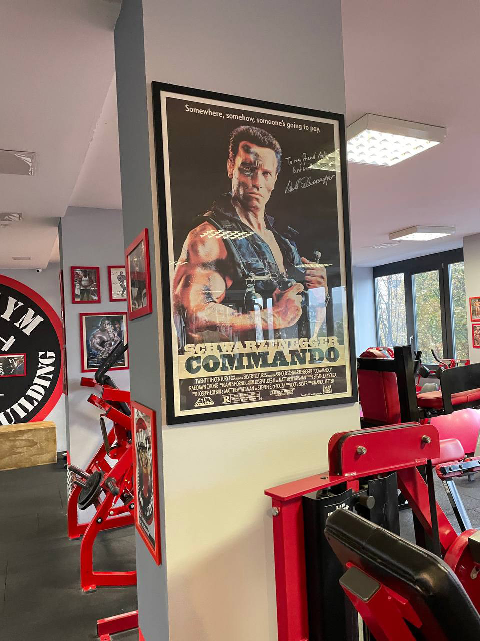 Flex Gym