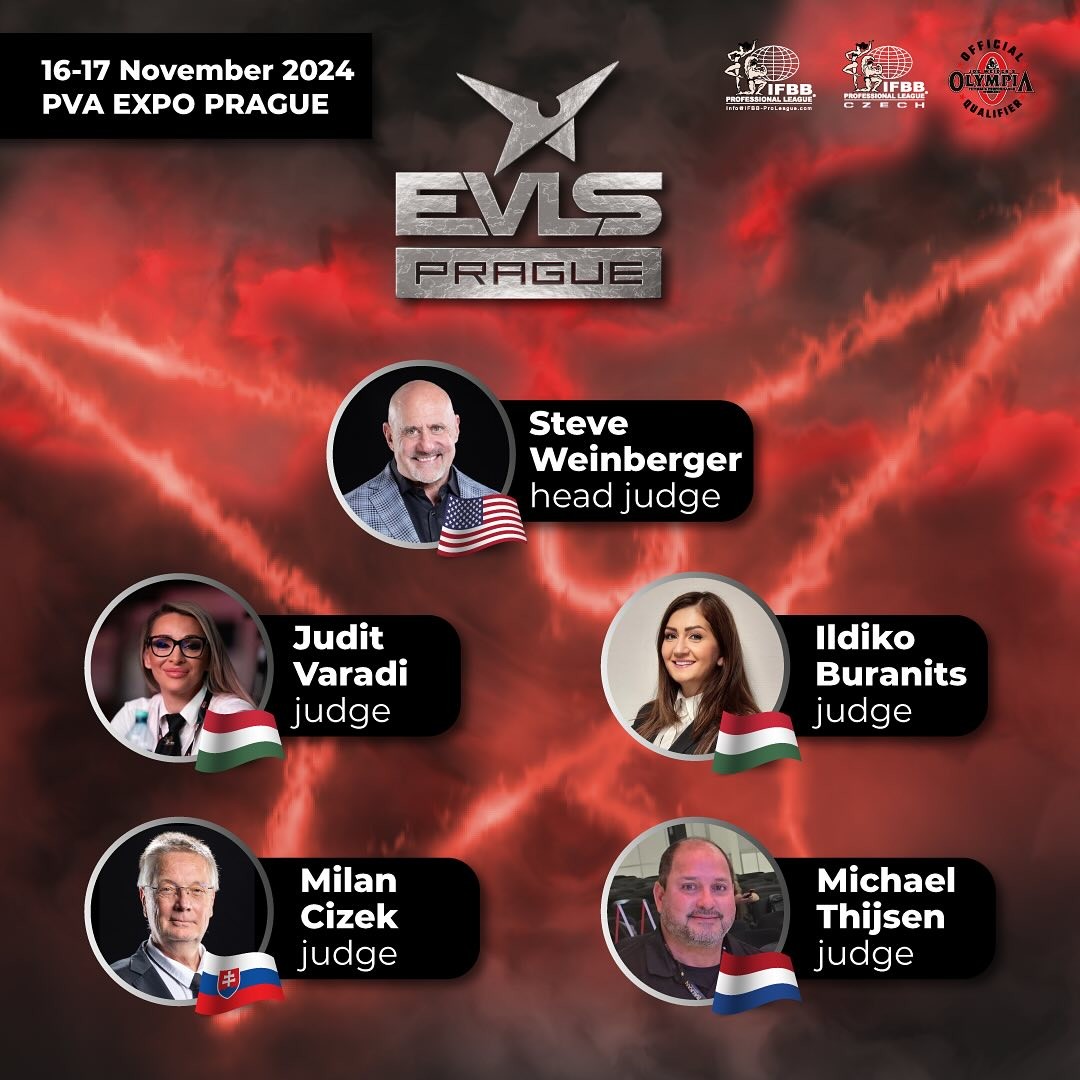 Infografika ke slo�en� panelu rozhod��ch na EVLS Prague 2024