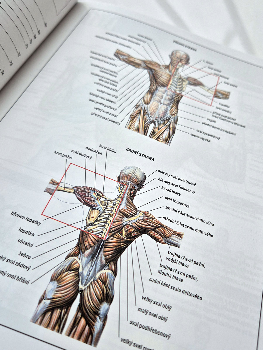 Posilov�n� - anatomick� pr�vodce (3. roz���en� vyd�n�)