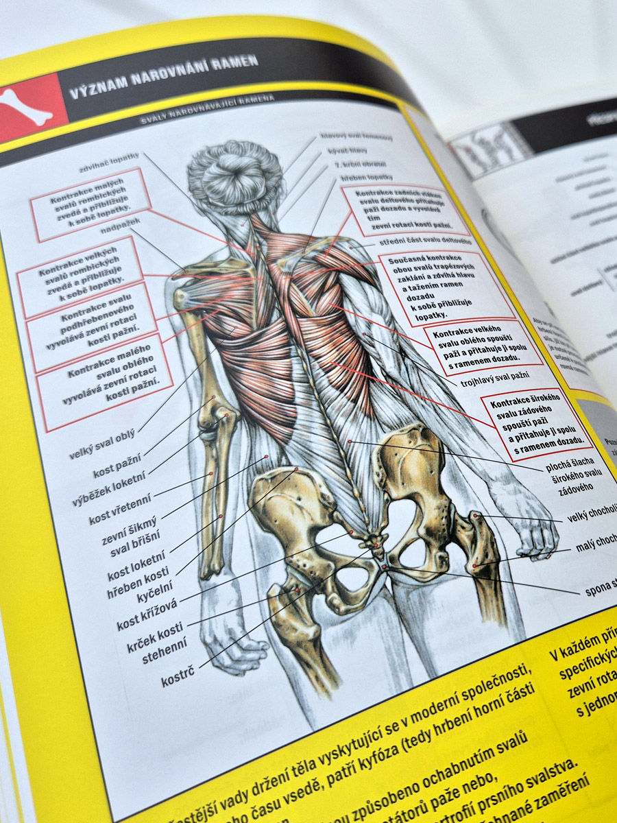 Posilov�n� - anatomick� pr�vodce (3. roz���en� vyd�n�)