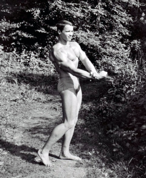 Arnold Schwarzenegger