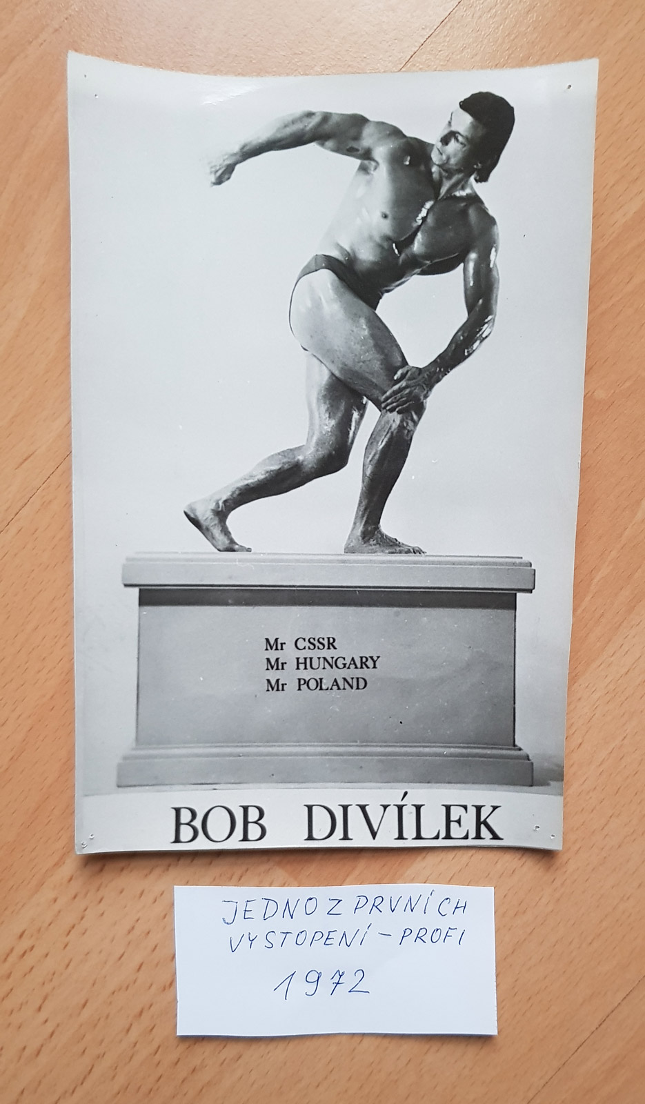Bob Div�lek - Golden Show