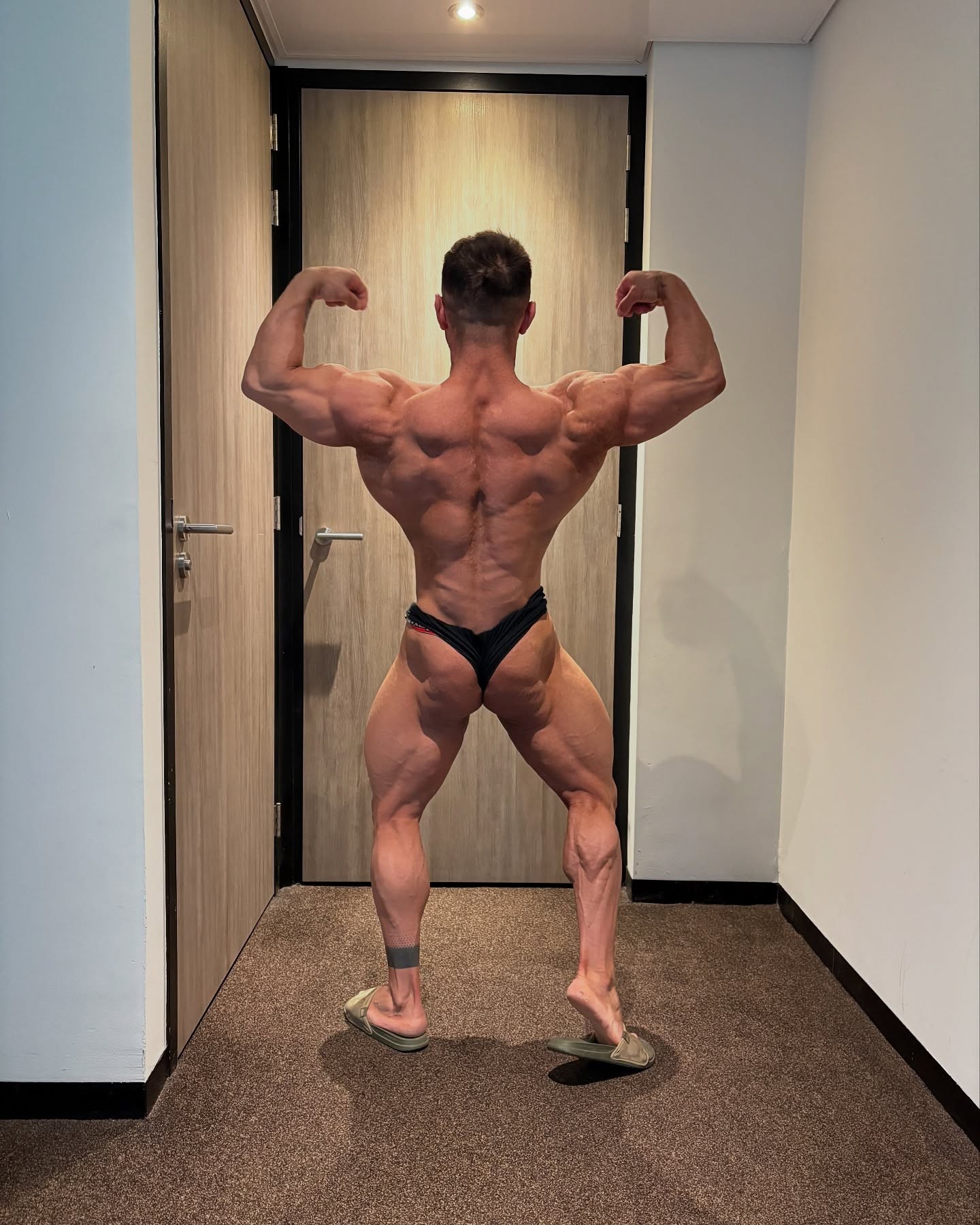 Juri Logrippo