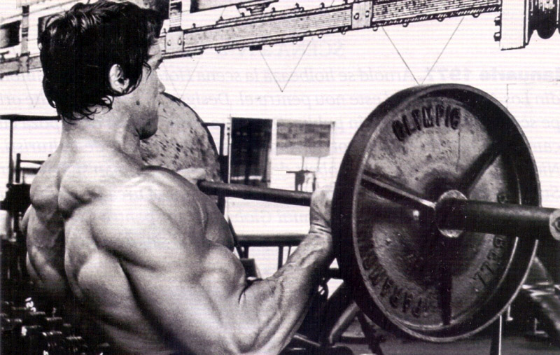 Bicepsov� zdvihy nadhmatem ve stoji 