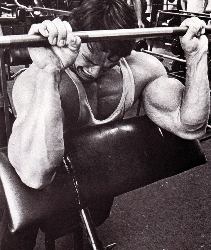 Bicepsov� zdvihy nadhmatem s oporou lokt�