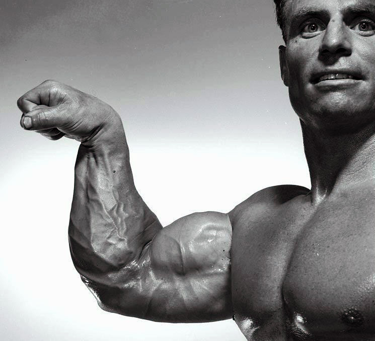 Chuck Sipes