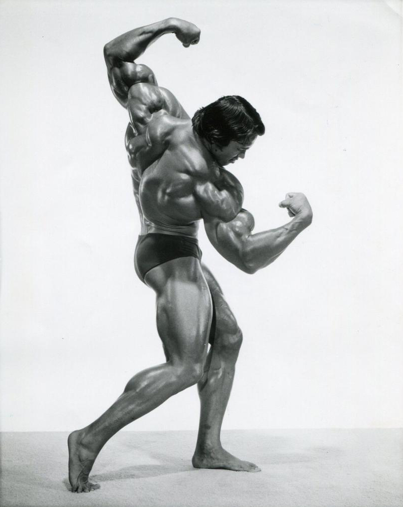 Arnold Schwarzenegger