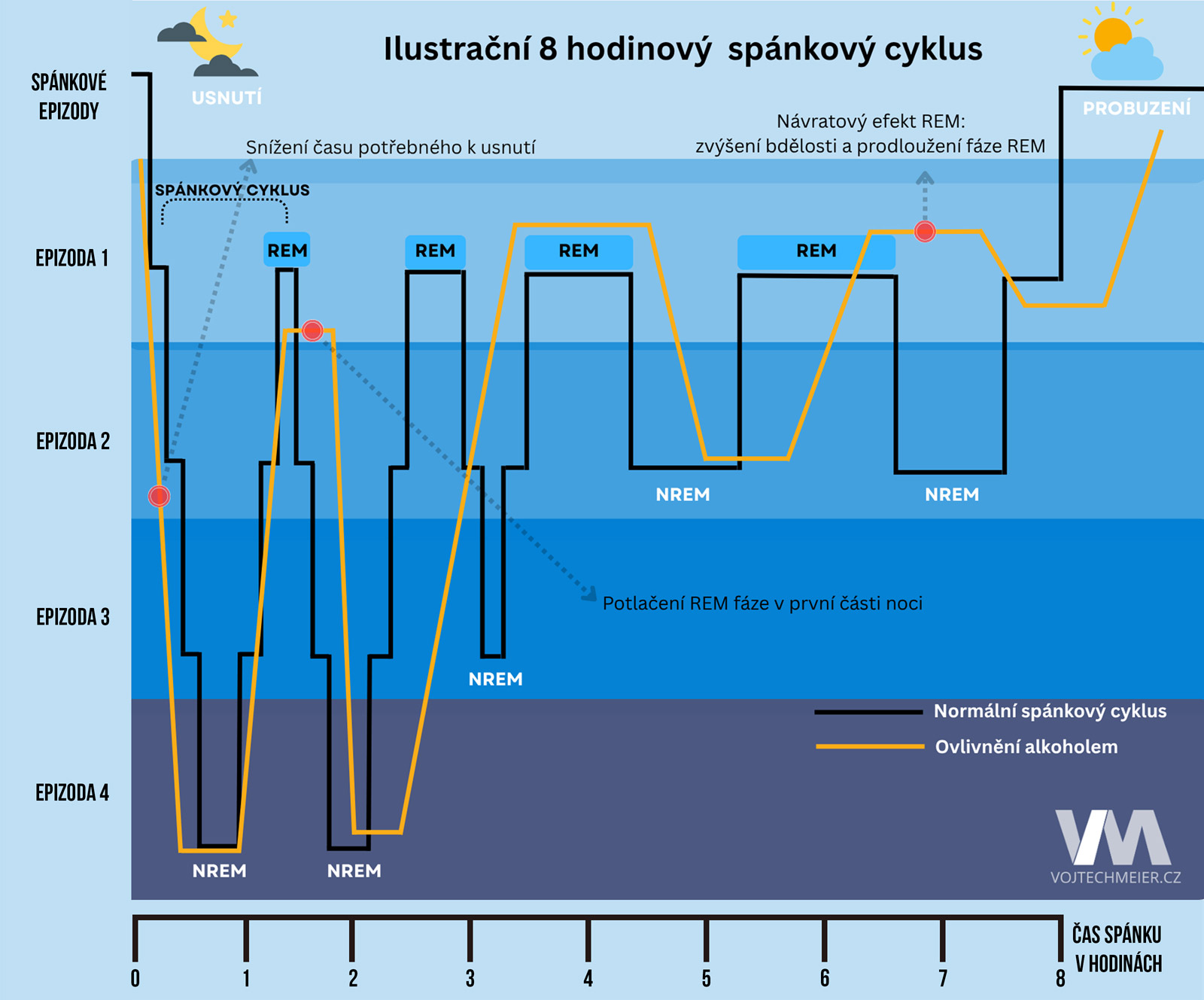 Norm�ln� vs. naru�en� sp�nkov� cyklus (po�it� alkoholu p�ed sp�nkem) 