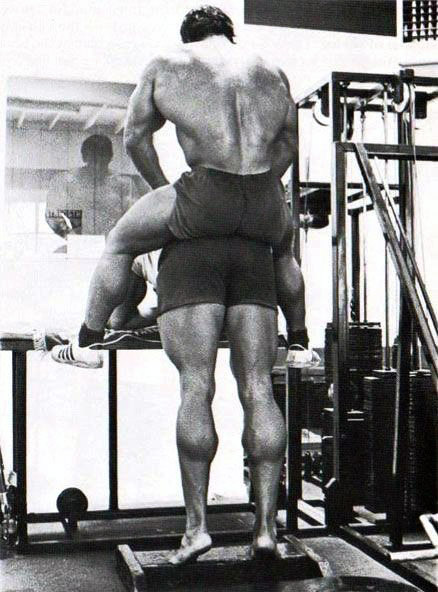 Arnold Schwarzenegger