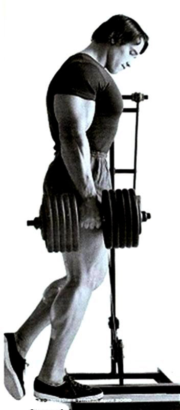 Arnold Schwarzenegger