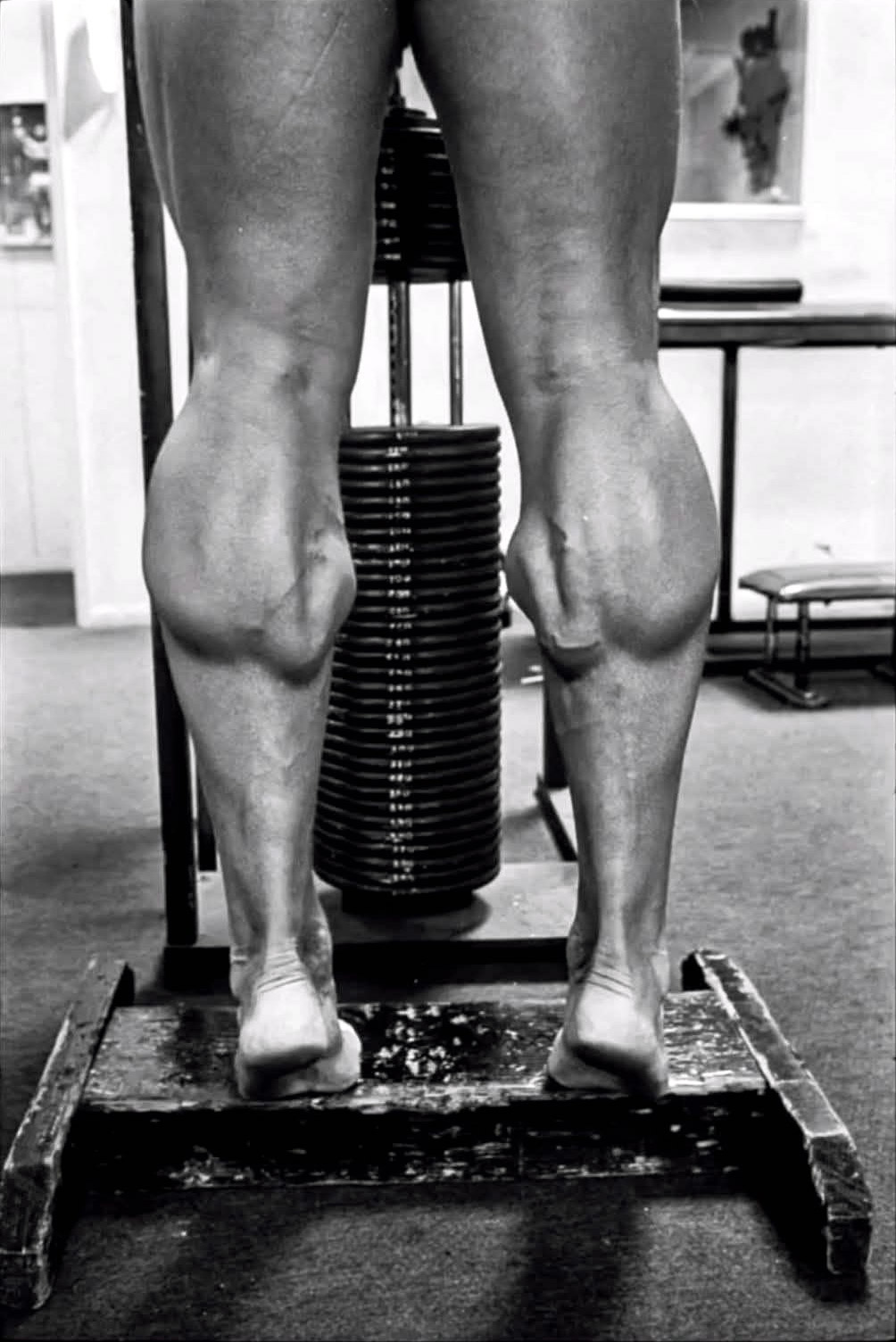 Arnold Schwarzenegger
