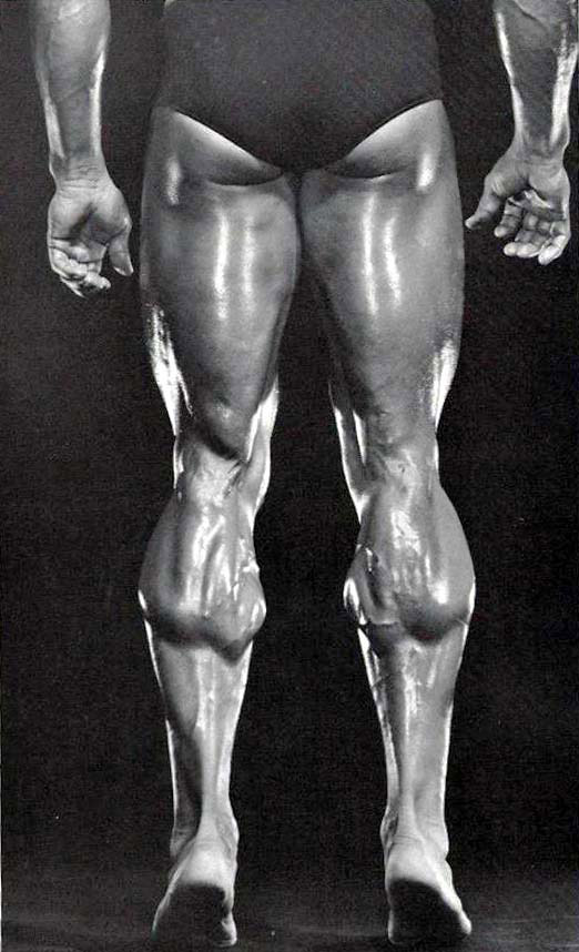 Arnold Schwarzenegger