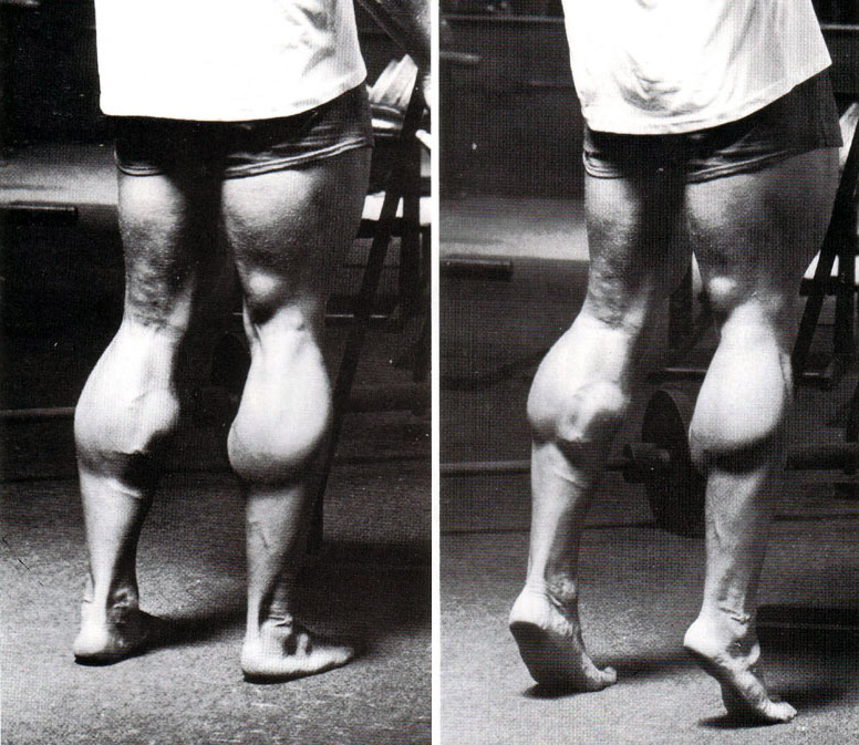 Arnold Schwarzenegger