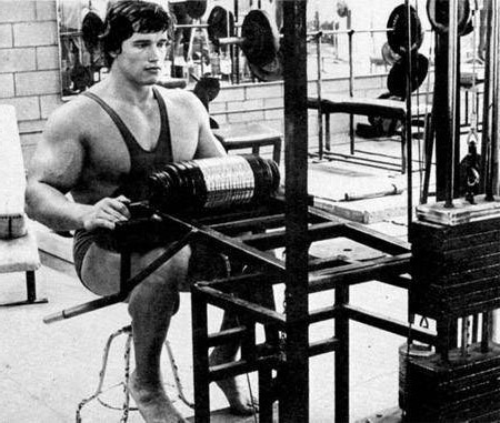 Arnold Schwarzenegger