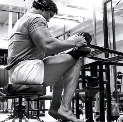 Arnold Schwarzenegger