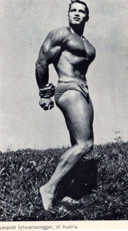 Arnold Schwarzenegger