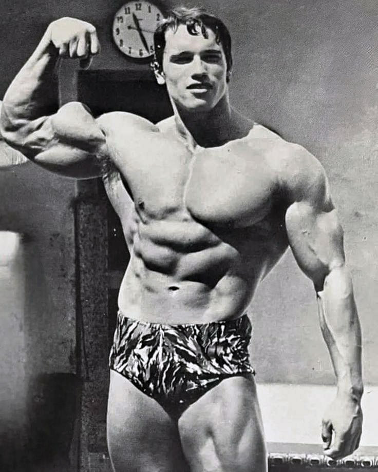 Arnold Schwarzenegger