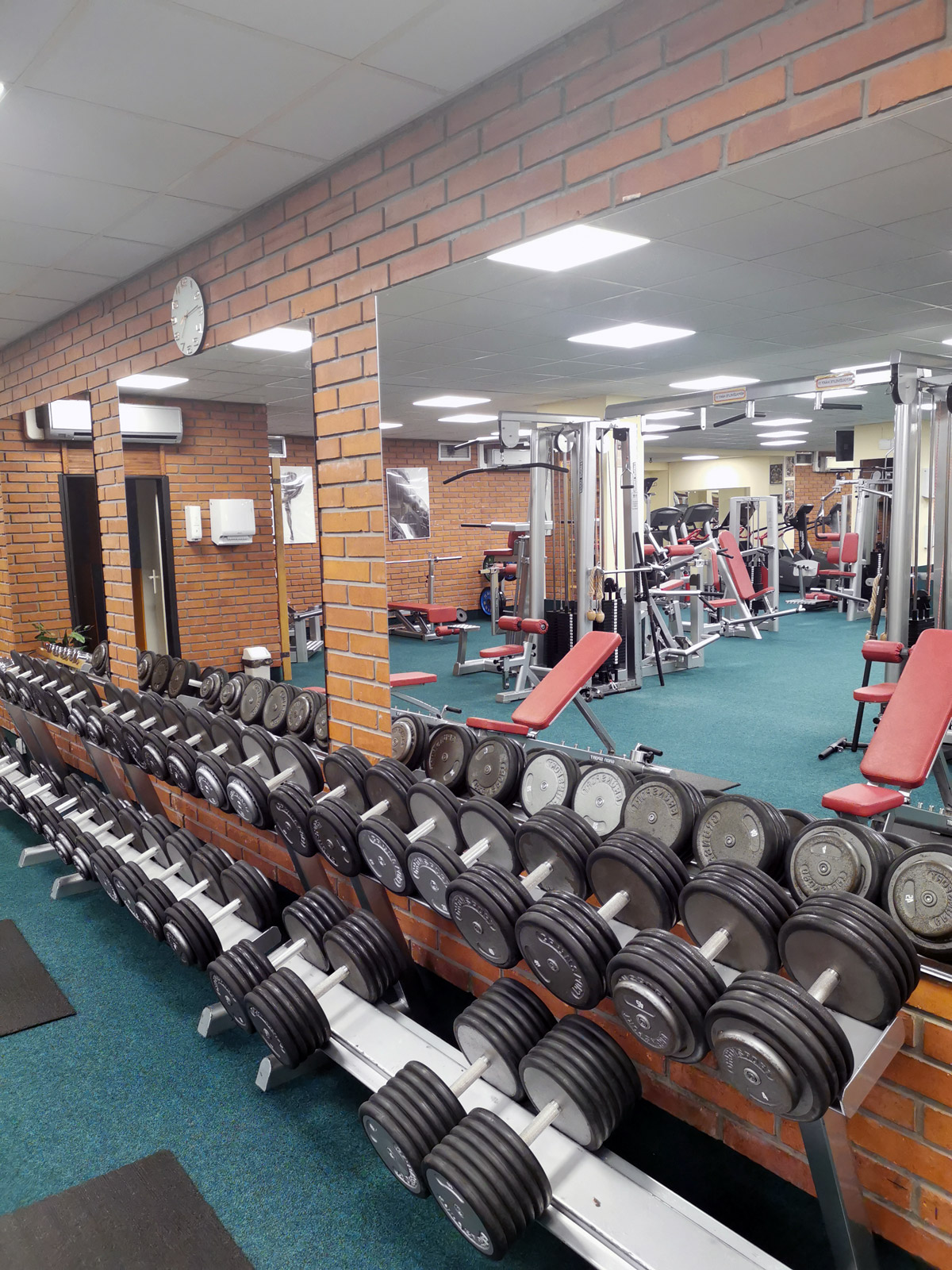 Fitmexx