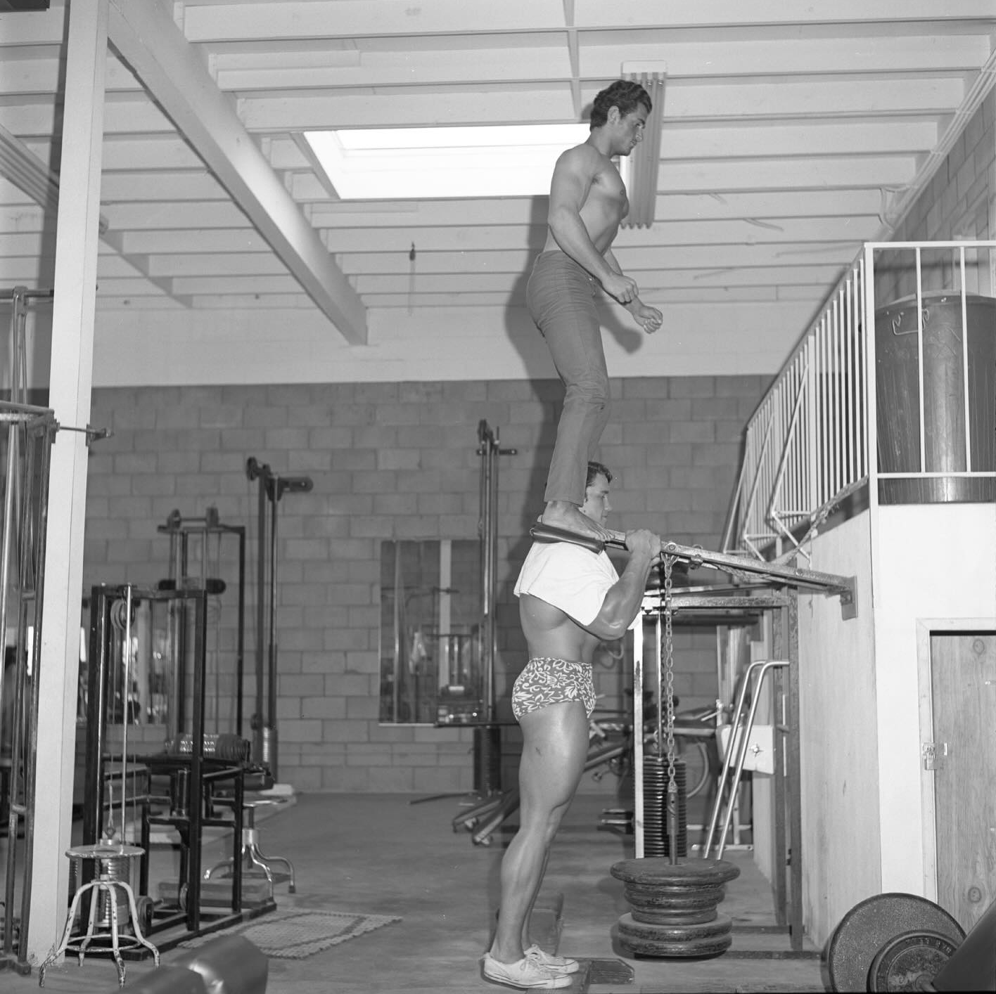Arnold Schwarzenegger