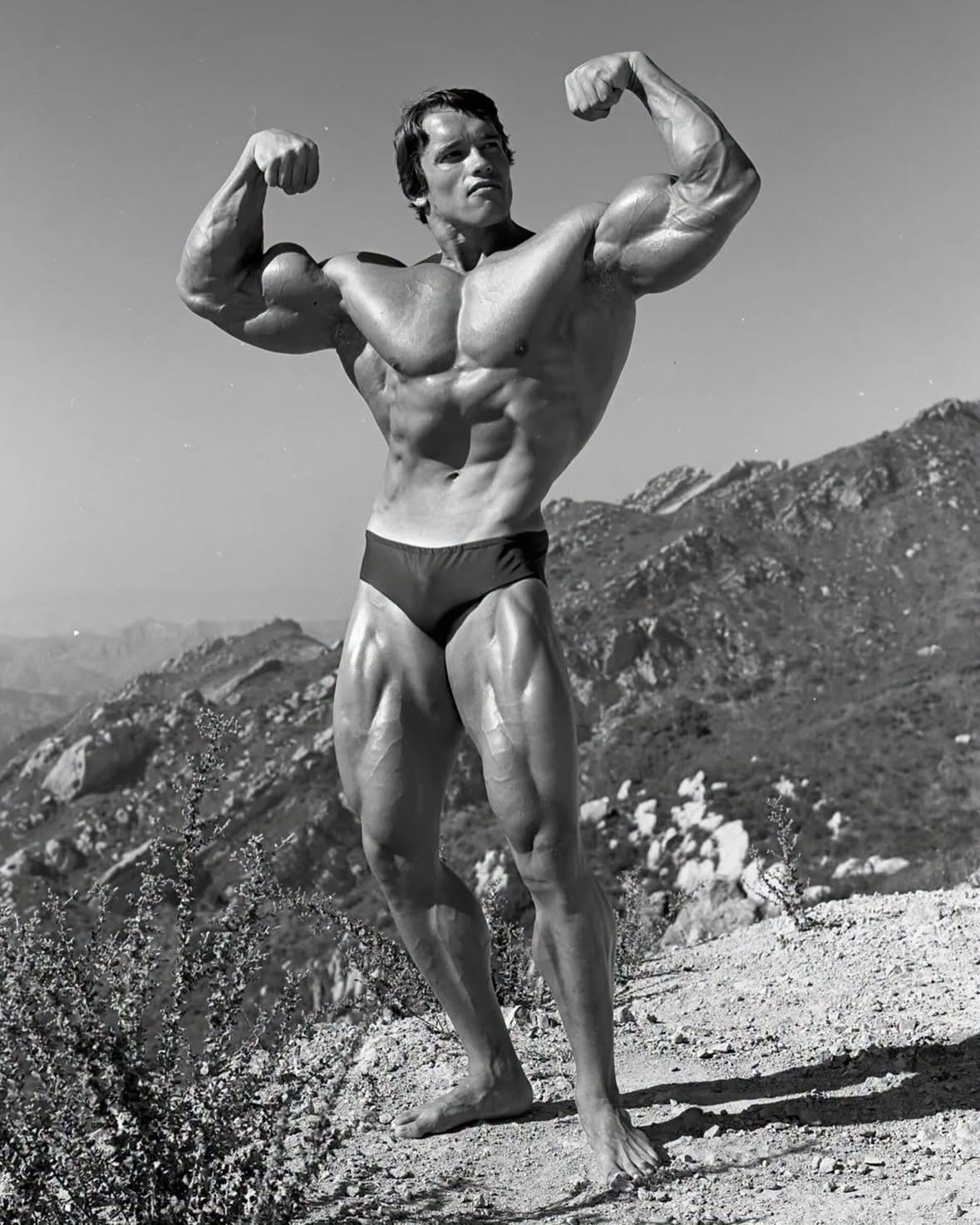 Arnold Schwarzenegger