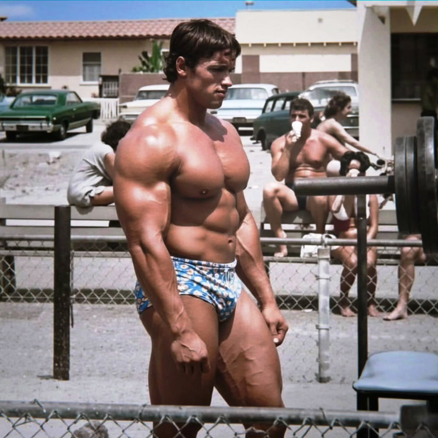 Arnold Schwarzenegger