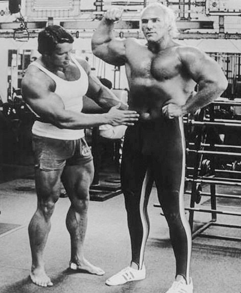 Arnold Schwarzenegger a Billy "Superstar" Graham