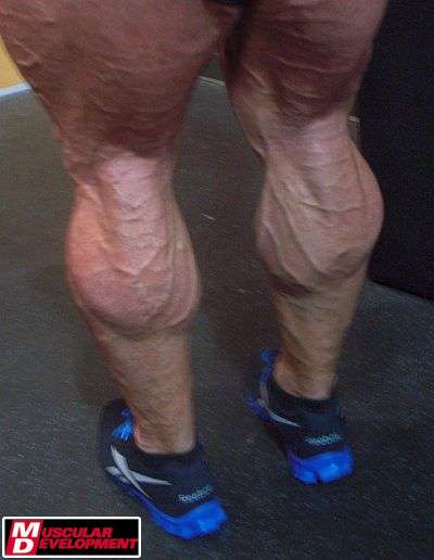 &nbsp;